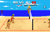 Malibu Bikini Volleyball Screenthot 2